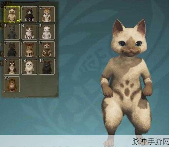 怪物猎人 2G 随从猫性格大揭秘,助你狩猎无忧