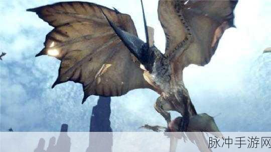 怪物猎人世界,详尽攻略——如何高效获取翼龙的皮