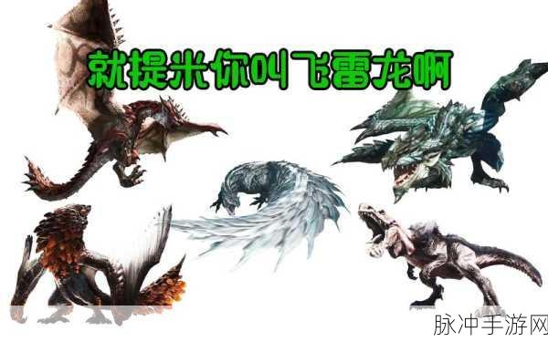 怪物猎人世界,详尽攻略——如何高效获取翼龙的皮