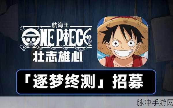 航海王壮志雄心配置要求全解析,流畅体验必备指南