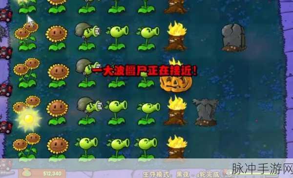 经典再现，植物大战僵尸原版完整版下载安装全攻略