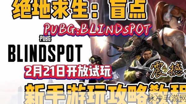 绝地求生 2 手游预约全攻略,抢先一步进入战场