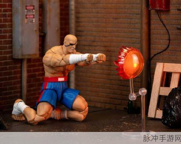 街头霸王沙加特通关攻略,终极战斗秘籍大公开!