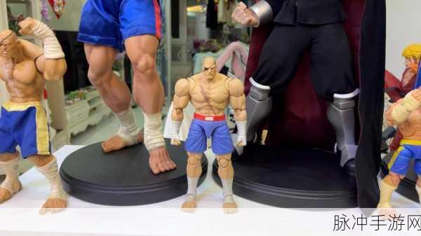 街头霸王沙加特通关攻略,终极战斗秘籍大公开!