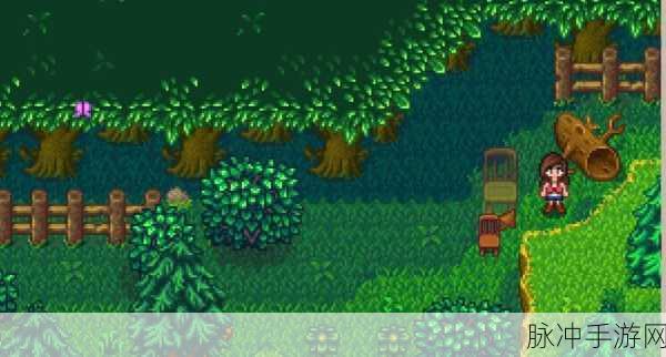 星露谷物语探险指南,揭秘秘密森林的奇妙位置与丰富资源