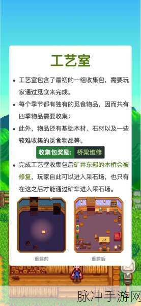 星露谷物语探险指南,揭秘秘密森林的奇妙位置与丰富资源