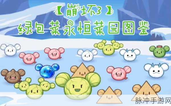 崩坏3绿包菜永恒菜园活动全攻略,奖励玩法深度解析