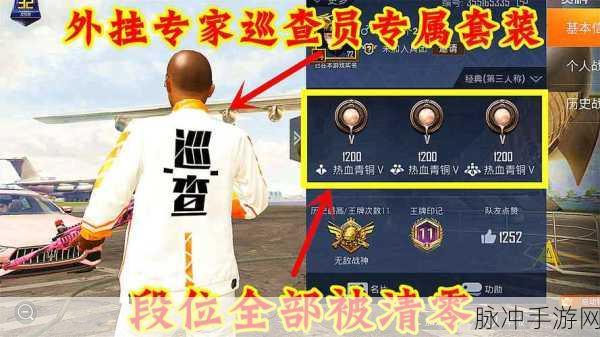 和平精英巡查员的必备条件与工作要求全解析