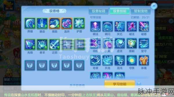 神武手游幻境带队秘籍,畅玩指南
