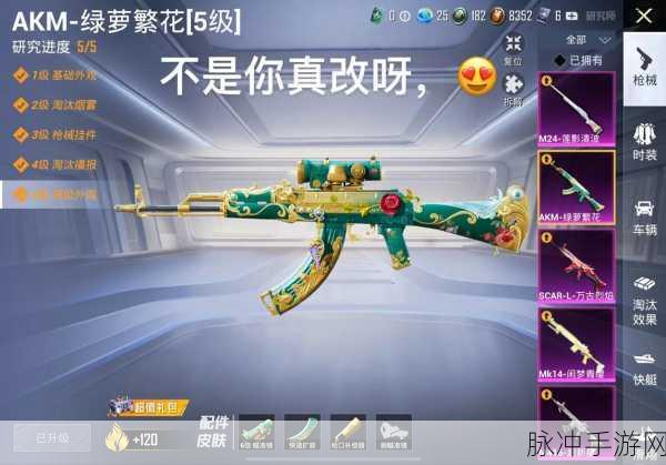 和平精英AKM彩虹符号皮肤获取全攻略
