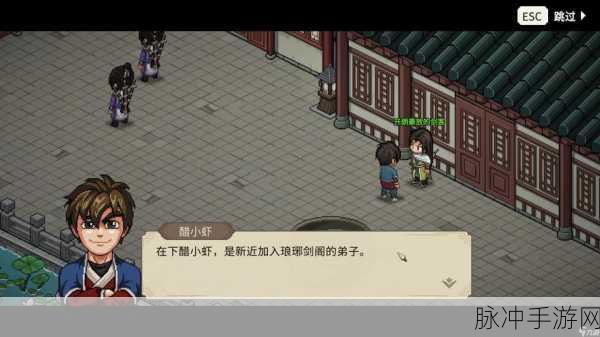 大侠立志传,琳琅剑阁门派好感任务全解析