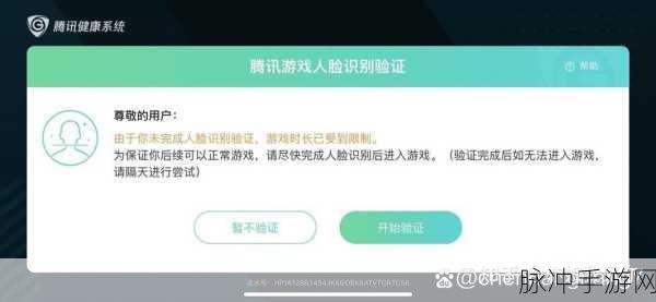 王者荣耀频繁弹出人脸识别?全面解析与应对策略