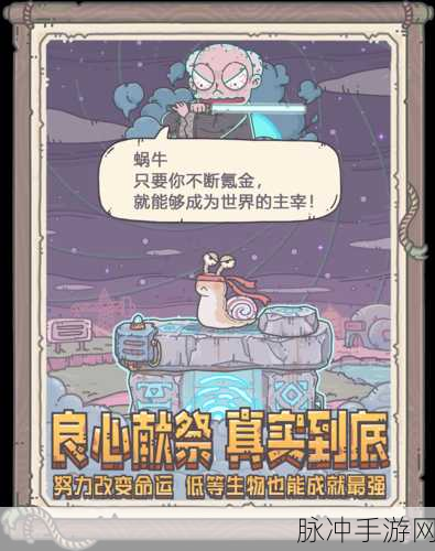 最强蜗牛大爆炸与闪避衣，选择技巧与策略深度解析