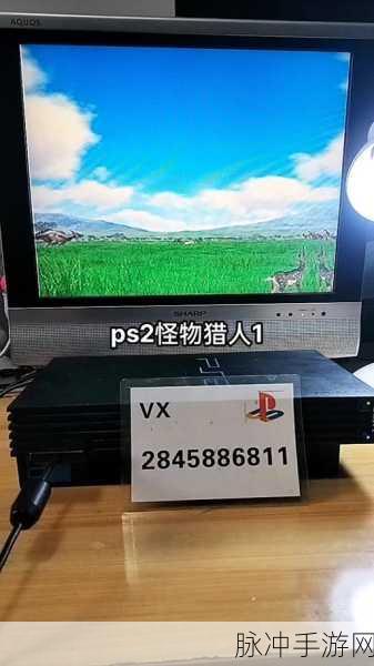 怪物猎人金手指,全面攻略与实战技巧解析