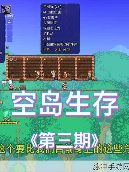 泰拉瑞亚,新人寻蜂巢秘籍大公开