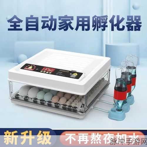 百分之一懒人孵蛋秘籍大公开
