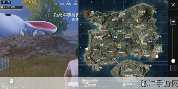 和平精英中秋月兔模式全攻略，玩法详解与进入指南