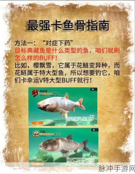 欢乐钓鱼大师,典藏神兽垂钓秘籍大公开