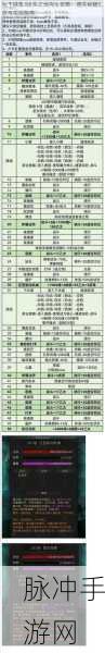地下城堡2图11墓地攻略详解，高效路线选择与通关指南