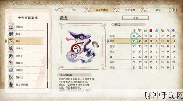 怪物猎人崛起训练场任务攻略，全面解析助你高效提升