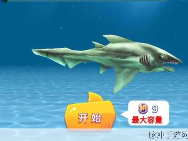 饥饿鲨进化国际服2024最新版,探索海底世界的鲨鱼冒险之旅