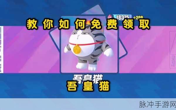 蛋仔派对手游攻略,揭秘蛋仔吾皇猫保底机制