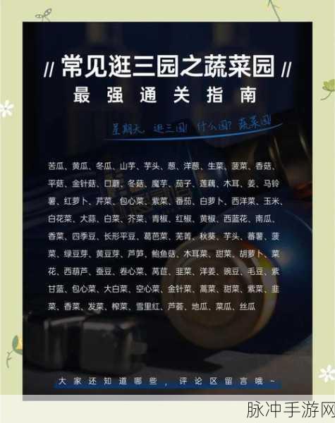 美菜商城蔬菜新鲜度与手游攻略的奇妙融合,一场数字生活的盛宴