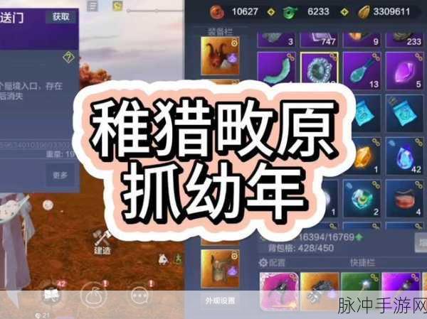 妄想山海淘金河探秘,解锁隐藏的财富之地全攻略