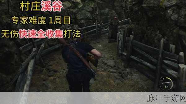 生化危机4重制版溪谷探险,获取小鸟令牌的深度攻略与技巧揭秘