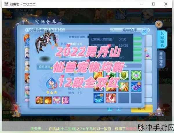 神武4手游飞升，解锁全新冒险的神秘之旅深度攻略