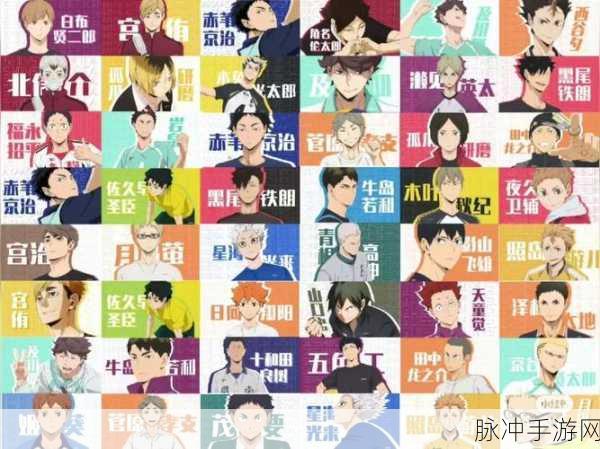 排球少年新的征程,角色养成秘籍大公开