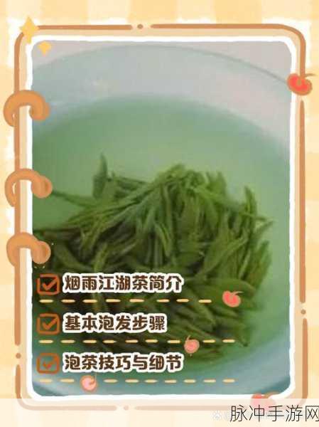 烟雨江湖茶道深度探索,全面学习攻略
