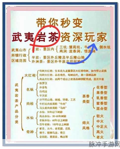 烟雨江湖茶道深度探索,全面学习攻略
