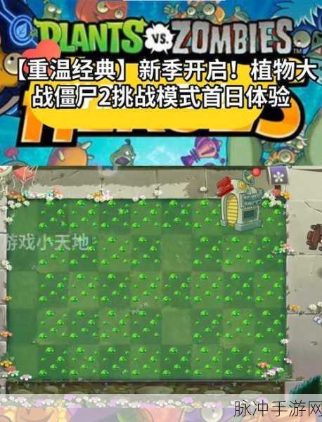 PVZ梦想坚守,重温经典策略塔防的战斗魅力