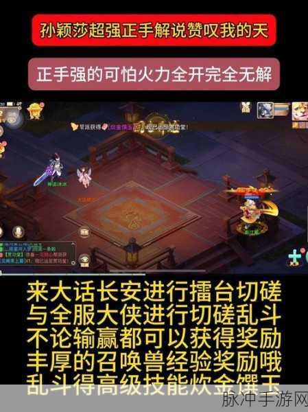 大话西游手游全面解析,速度提升攻略,助你竞技场称雄!