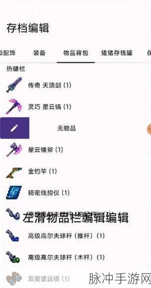 泰拉瑞亚存档编辑器授权与使用全攻略