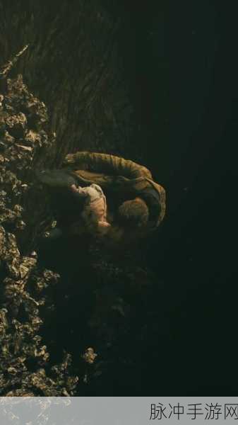 伊森生化危机8结局深度解析,伟大父亲的最终宿命