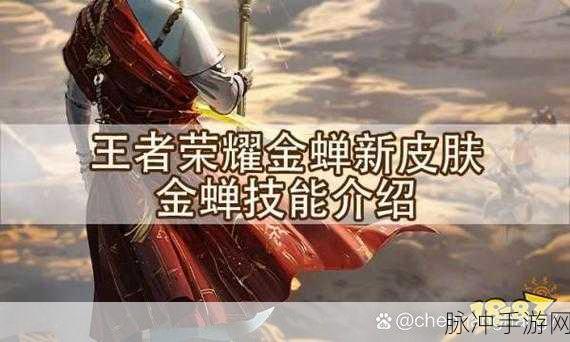 王者荣耀金蝉皮肤格子最新详情,丰富元素与惊艳设计全解析