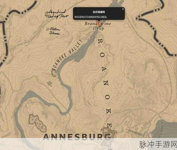 荒野大镖客2完美母牛皮高效获取攻略,全面刷新点汇总与资源管理优化技巧