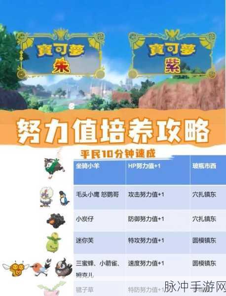 口袋妖怪手游攻略，何时开始练努力值最佳？