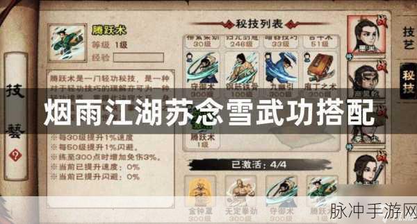 烟雨江湖苏念雪武功搭配全攻略