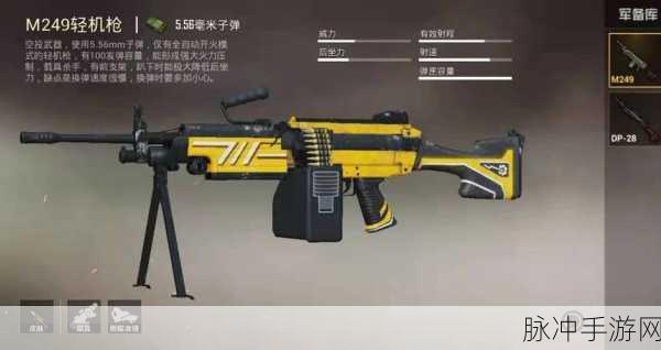 和平精英团队竞技，揭秘最强枪械之选