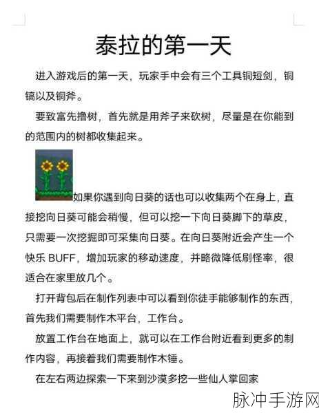 掌握泰拉瑞亚中无需冲刺即可实现疾速奔跑的独特技巧攻略