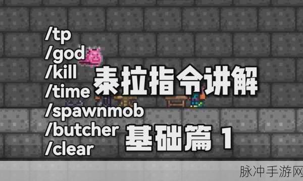 掌握泰拉瑞亚中无需冲刺即可实现疾速奔跑的独特技巧攻略