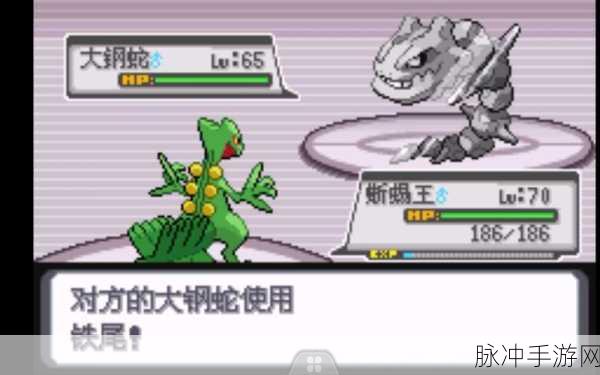 口袋妖怪白金光,三次选择宠物终极攻略