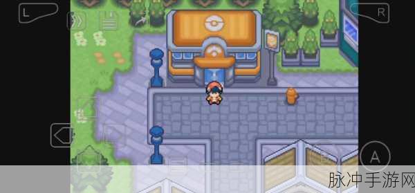 口袋妖怪白金光,三次选择宠物终极攻略