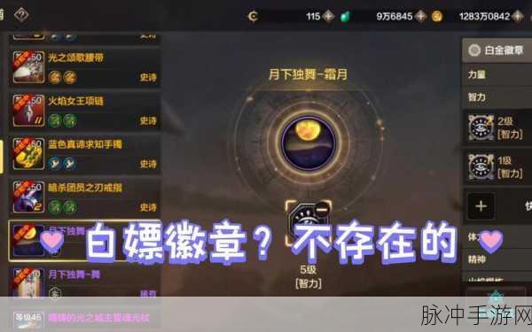 DNF 手游徽章属性全解析 助力战力飙升