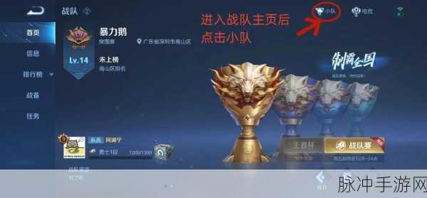 王者荣耀幸运小队活动全攻略,位置详解与数据揭秘