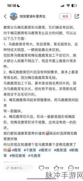 烟雨江湖深度探索,踏上寻觅珍贵鹿茸的神奇之旅全攻略