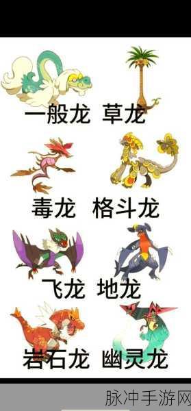 龙族幻想神秘宠物全解析，炫酷龙种奇幻兽类与独特伙伴大揭秘